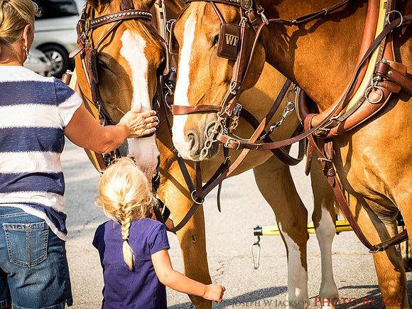 20160704-Parade-0155