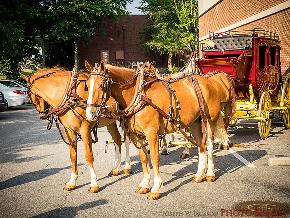 20160704-Parade-0150