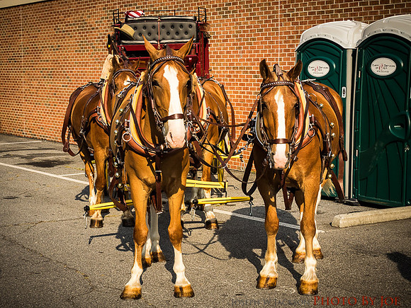 20160704-Parade-0149